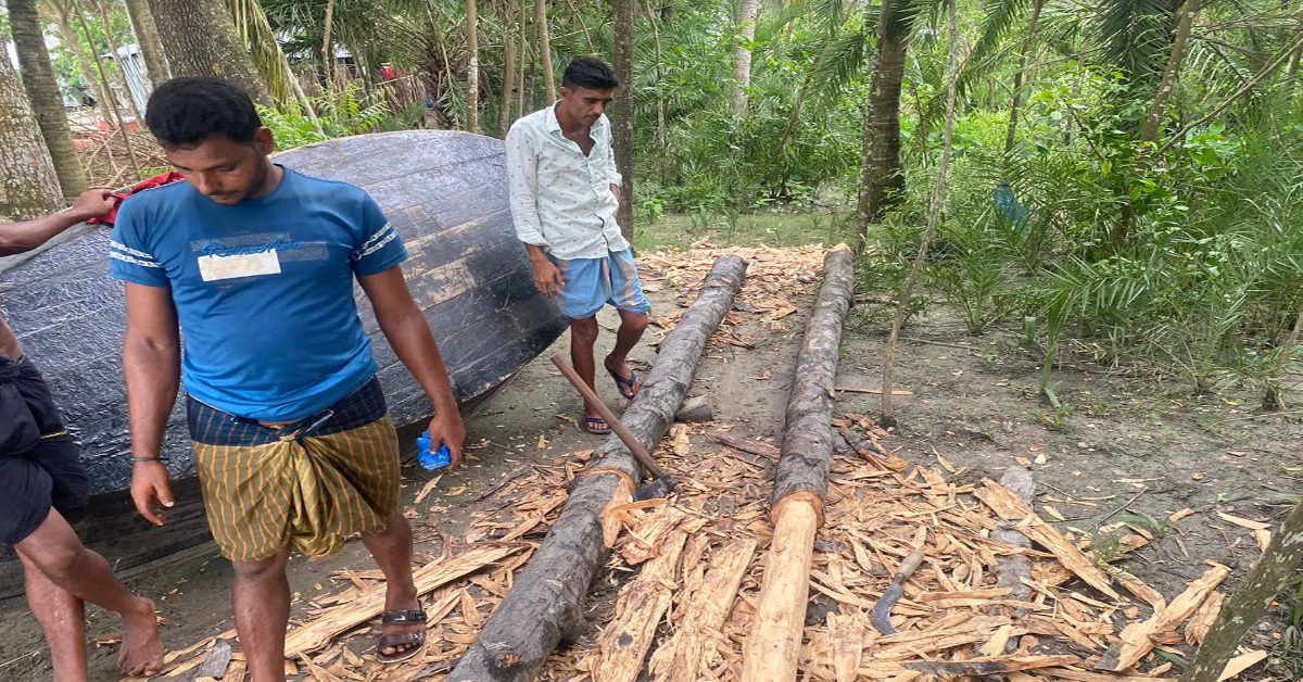 টেংরাগিরি বনের কেওড়া গাছ উদ্ধার