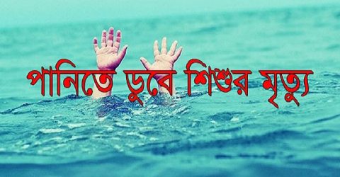 শেরপুরে পানিতে ডুবে সহোদর ভাই-বোনের মৃত্যু