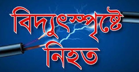 উলিপুরে বিদ্যুৎস্পুষ্টে বাবা ছেলের মৃত্যু হয়েছে