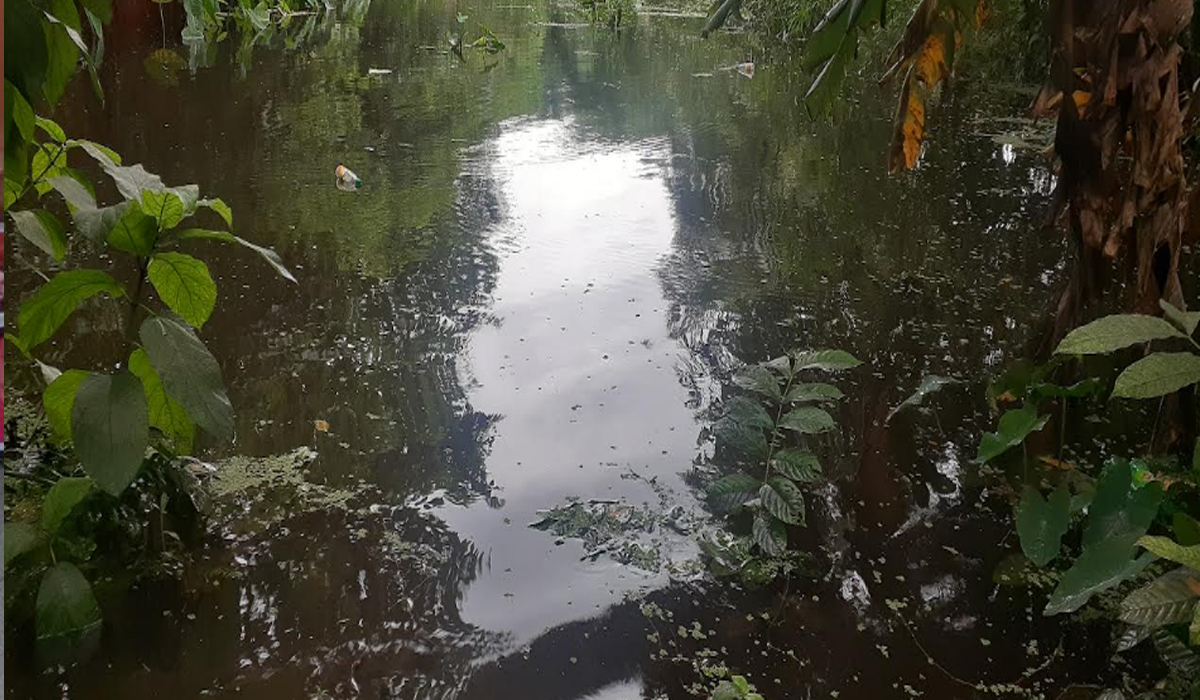 অপ্রয়োজনীয় বাঁধ আর জলাবদ্ধতায় বন্যার আশংকায় লক্ষীপুর জেলার রায়পুর