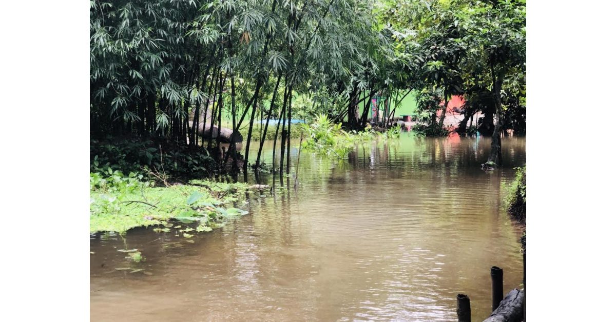 টানা বৃষ্টিতে চাটখিল -সোনাইমুড়ী প্লাবিত :কয়েক লাখ মানুষ পানি বন্ধী