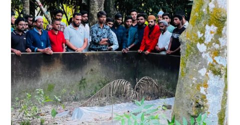 শহীদ আসিফের কবর জিয়ারত করলেন সাতক্ষীরা জেলা ছাত্রদল