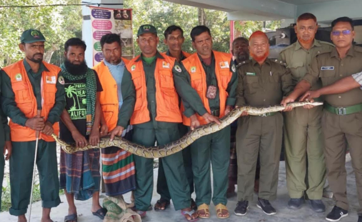 কয়রায় আবারো লোকালয় থেকে ১০ ফুট লম্বা অজগর সাপ উদ্ধার করে সুন্দরবনে অবমুক্ত করা হয়েছে