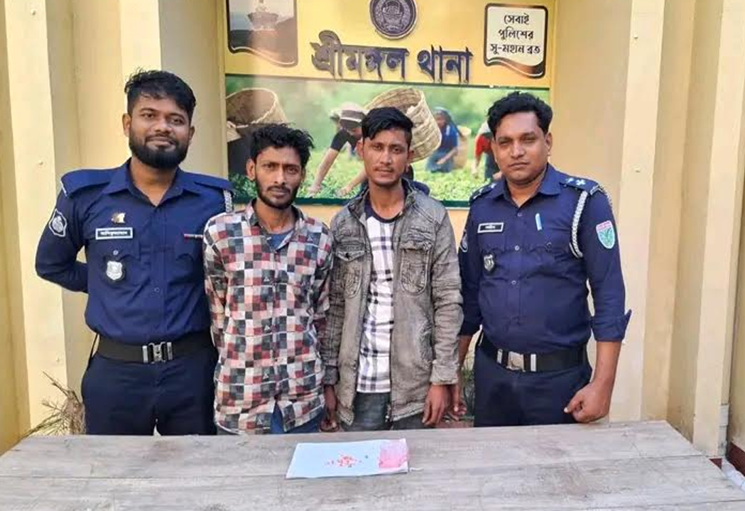 সিরাজগঞ্জের বেলকুচিতে আন্তর্জাতিক প্রতিবন্ধী দিবস পালিত