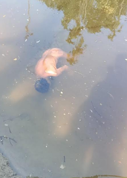 নিখোঁজের একদিন পর বৃদ্ধের মরদেহ মিলল পুকুরে