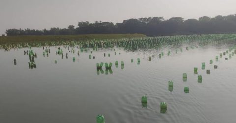 ওসমানীনগরের নদীতে প্লাস্টিকের বোতল ব্যবহার পরিবেশ হুমকির মুখে 