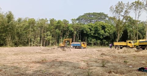 ফসলি ও ভিটার জমি কেটে খনন করছে দিঘী, মাটি যাচ্ছে ইট ভাটায় ও ভরাটে