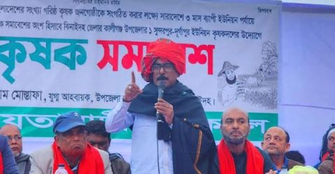 কালীগঞ্জে কৃষক সমাবেশ অনুষ্ঠিত