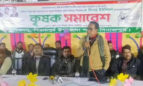 বিরামপুরে কৃষকদলের কৃষক সমাবেশ অনুষ্ঠিত