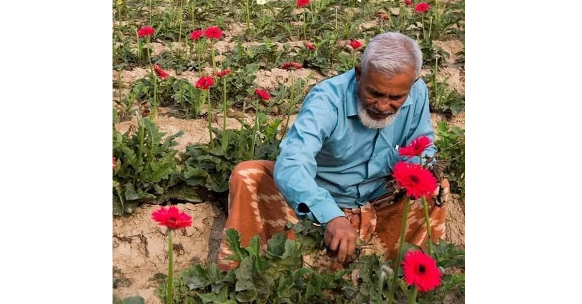 গদখালীর ফুল চাষের জনক শের আলী সরদারের মৃত্যু, এলাকায় শোকের ছায়া