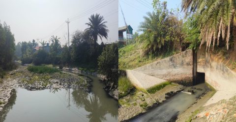 কলাপাড়ায় অস্তিত্ব সংকটে হেতালবাড়িয়ার খাল,পলি জমা এবং দখল দূষণের কারণে অস্তিত্ব সংকটে ।