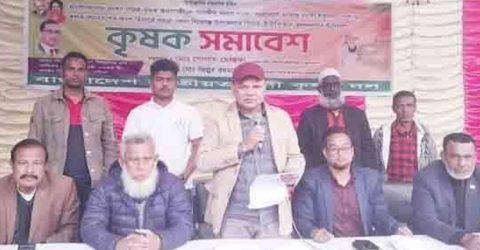 বগুড়া শিবগঞ্জের পিরব ইউনিয়নে কৃষকদলের সমাবেশ অনুষ্ঠিত