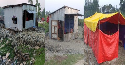হাতিয়ায় বনবিভাগের জায়গা দখল করে যুবদল নেতার দোকানঘর নির্মান