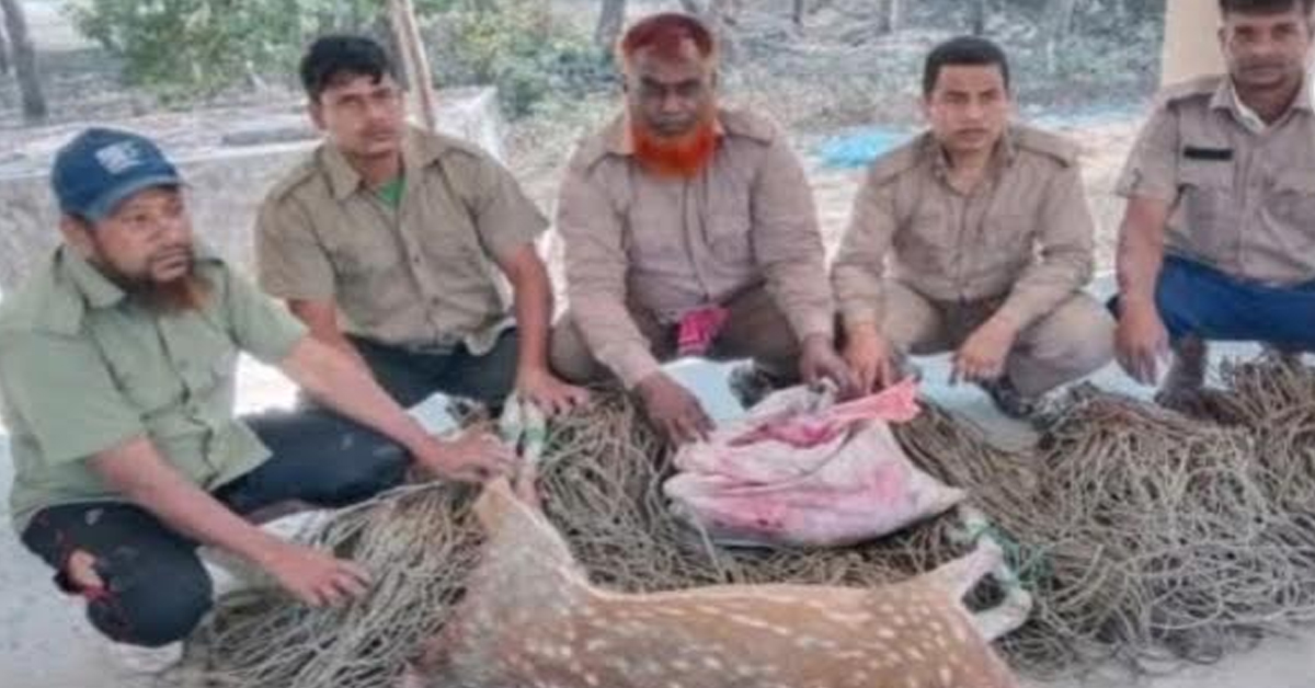শ্যামনগরে সুন্দরবন থেকে লাইলনের ফাদ,হরিনের মাংস ও মৃত হরিণ উদ্ধার