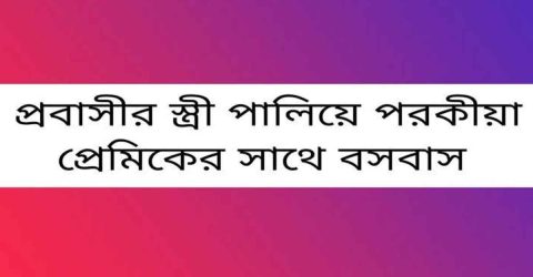 চাটখিলে প্রবাসীর স্ত্রী ৩৬ লাখ টাকার মালামাল নিয়ে পালিয়ে পরকীয়া প্রেমিকের সঙ্গে বসবাস