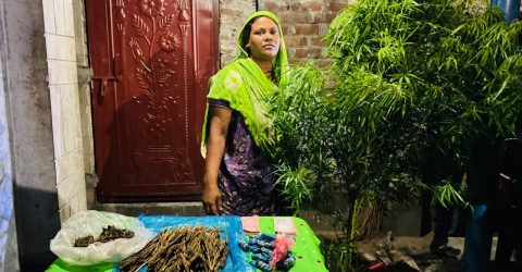 সেনাবাহিনীর বিশেষ অভিযানে নাটোর লালপুরের  বড়বড়িয়ায় বিপুল পরিমাণ গাঁজাসহ এক মহিলা আটক