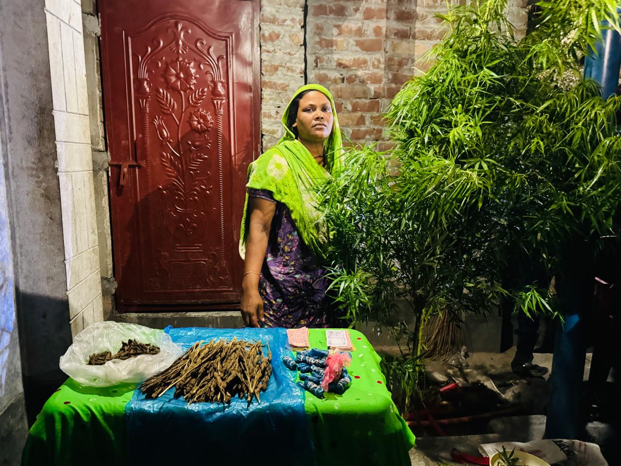 সেনাবাহিনীর বিশেষ অভিযানে নাটোর লালপুরের  বড়বড়িয়ায় বিপুল পরিমাণ গাঁজাসহ এক মহিলা আটক