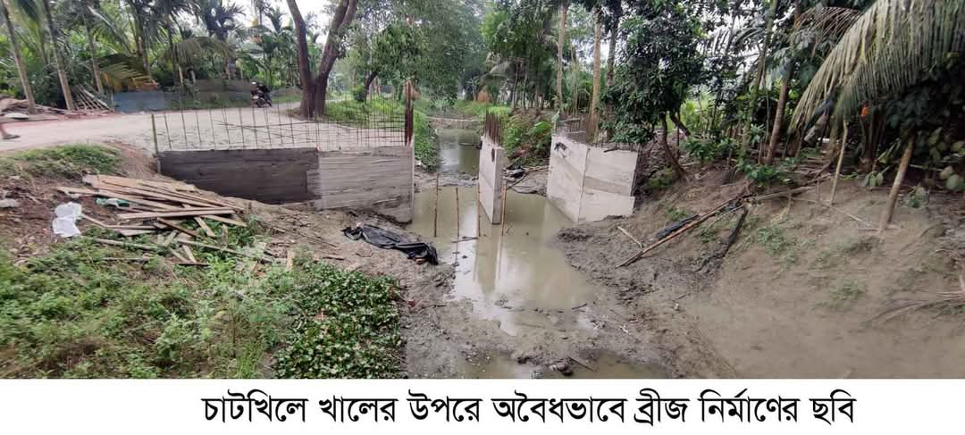 চাটখিলে খালের উপরে অবৈধ ভাবে ব্রীজ নির্মাণের হিড়িক