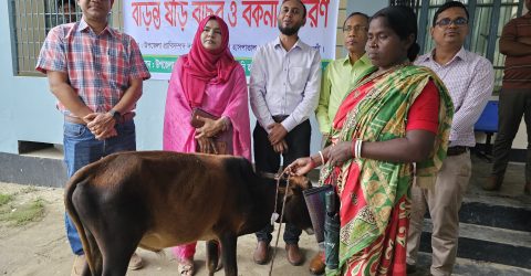 ধামইরহাটে ক্ষুদ্র নৃ-গোষ্ঠী সম্প্রদায়ের মাঝে বাড়ন্ত ষাঁড় বিতরণ উদ্বোধন