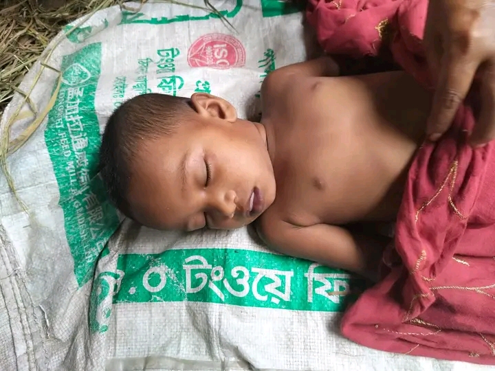 পাইকগাছায় সাবেক কাউন্সিলর কবিতার সংবাদ সম্মেলন শ্রমিকলীগ ও বিএনপি-র যুগ্ম আহ্বায়কের বিরুদ্ধে