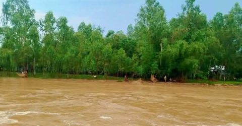 শেরপুরে পাহাড়ি ঢল,বাড়ছে নদীর পানি  বন্যার শঙ্কা