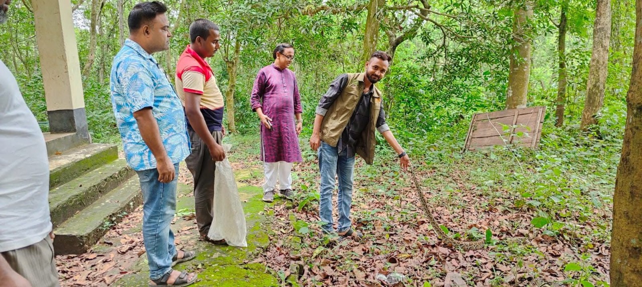 শেরপুরে অজগর সাপ উদ্ধার,বনে অবমুক্ত