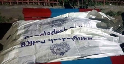 পলাশবাড়ীতে ট্রাকের ধাক্কায় দুই মোটরসাইকেল আরোহী নিহত