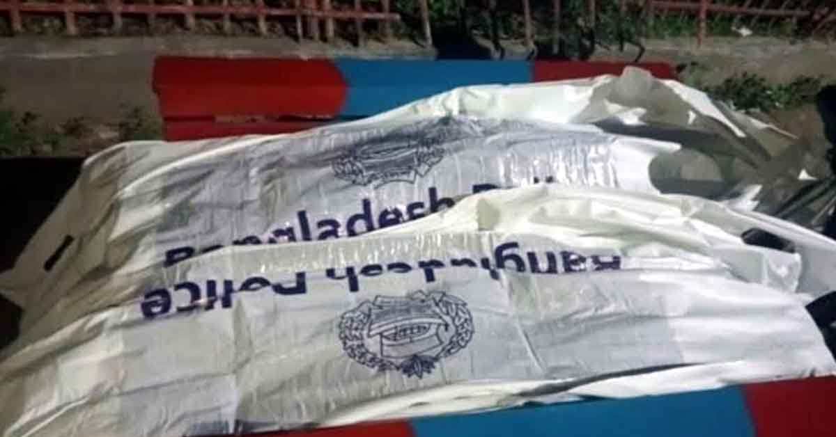 পলাশবাড়ীতে ট্রাকের ধাক্কায় দুই মোটরসাইকেল আরোহী নিহত