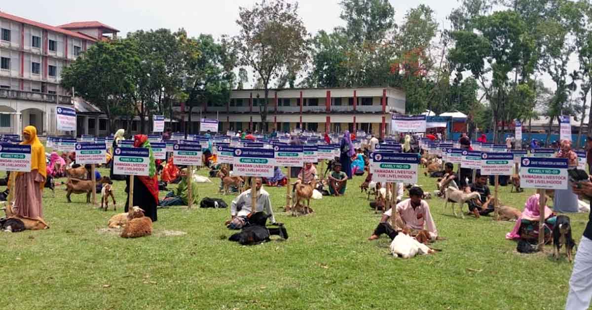 কুড়িগ্রামে জাকাতের ছাগল বিতরণে ছাগলকাণ্ড