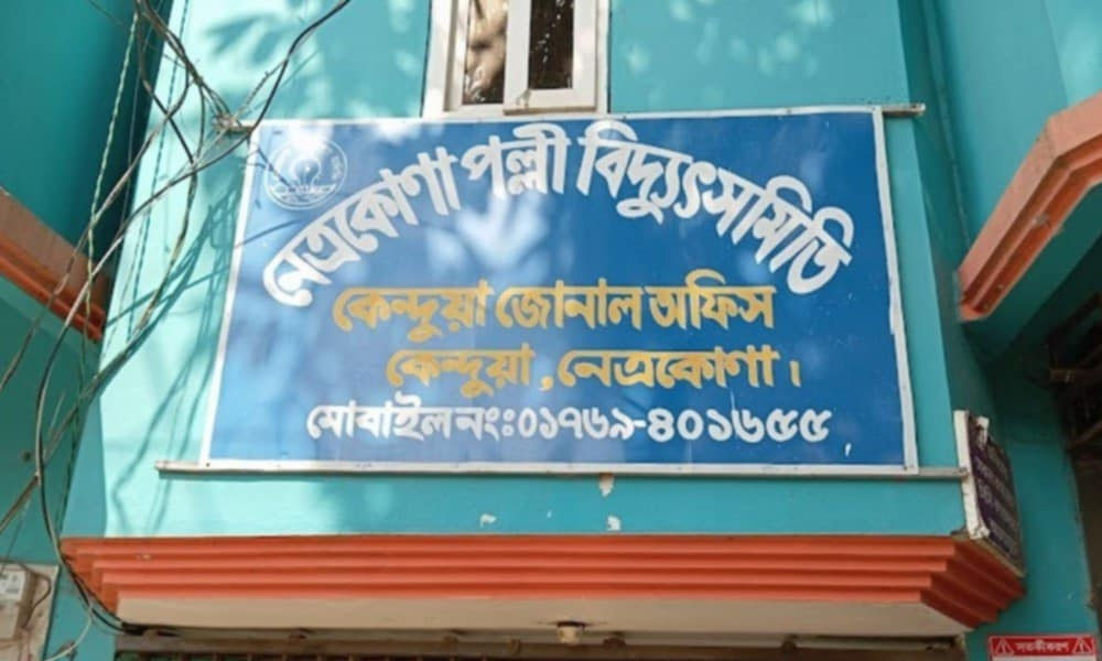বিদ্যুৎ যায় না, মাঝে মধ্যে আসে