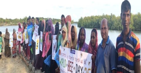 শ্যামনগরে বিশ্ব মৌমাছি দিবস উদযাপন