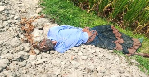 ধামইরহাটে ধানক্ষেত থেকে বৃদ্ধ কৃষকের মরদেহ উদ্ধার