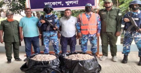 সুন্দরবনের বিষ প্রয়োগ করা ১৫০ কেজি চিংড়ি জব্দ