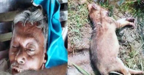কুড়িগ্রামে নিজের দেওয়া ফাঁদে নিজেই নিহত