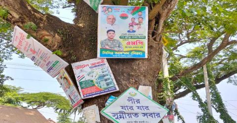 নিকলীতে পোস্টার-ব্যানারের জঞ্জাল, বদল শুধু নাম-ছবি