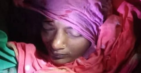 গোবিন্দগঞ্জে ঝড়ের কবলে বটগাছ,ঘটনাস্থলেই নারীর মৃত্যু-১