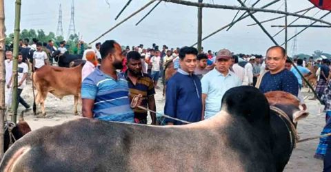 শেরপুরে কোরবানীর পশুর হাট পরিদর্শন করলেন পুলিশ সুপার