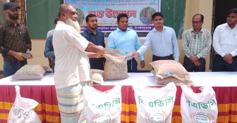 ভোলাহাটে কৃষকদের মাঝে কৃষি প্রণোদনা বিতরণ
