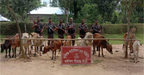 ১ কোটি ৭৩ লক্ষ টাকা মূল্যের মালামাল ও যানবাহন আটক
