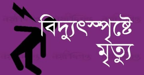 চাটখিলে বিদ্যুৎস্পৃষ্ট হয়ে স্কুল ছাত্র নিহত
