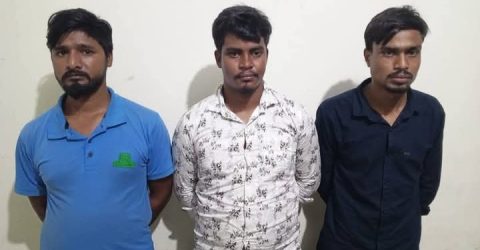 শিবগঞ্জে ৬১ কেজি গাঁজাসহ লালমনিহাটের বাবু, রানা, বাদশা র‌্যাবের হাতে গ্রেফতার