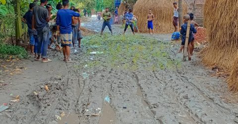 রনচন্ডী ইউনিয়ন এর রাস্তায় চাষাবাদ হবে ধান