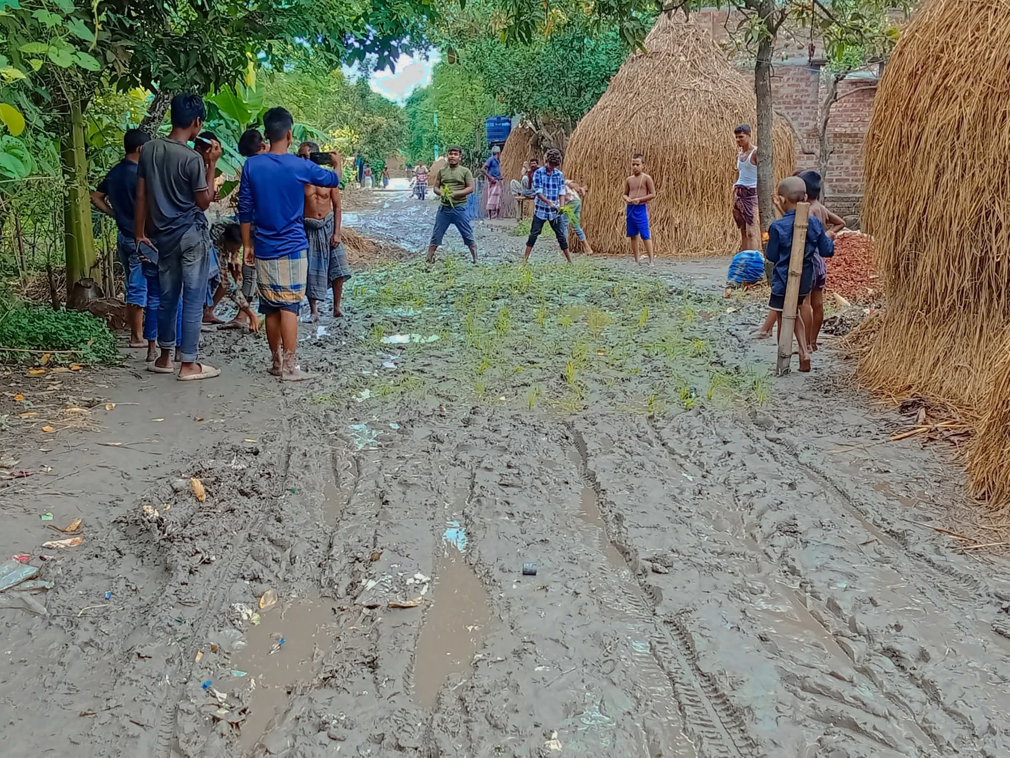 রনচন্ডী ইউনিয়ন এর রাস্তায় চাষাবাদ হবে ধান