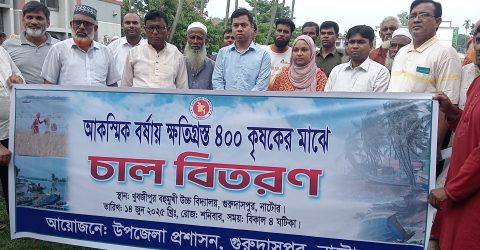 গুরুদাসপুরে আকষ্মিক বন্যায় ক্ষতিগ্রস্থ কৃষকের মাঝে চাল বিতরণ