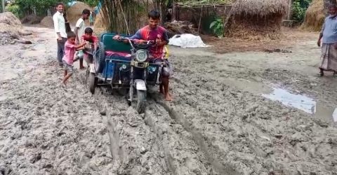 গ্রামীন রাস্তার বেহাল দশা, হাজারো মানুষের ভোগান্তি