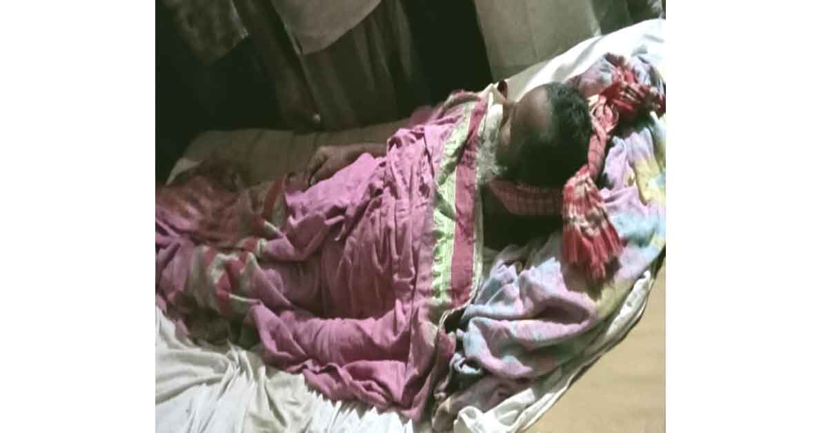 মনপুরায় সাপের কামড় : মৃত সাপ নিয়ে হাসপাতালে গিয়েও বাঁচলেন না বৃদ্ধ