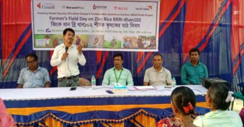 ঠাকুরগাঁওয়ের পীরগঞ্জে জিংক ব্রি ধান-১০২ শীর্ষক কৃষক মাঠ দিবস অনুষ্ঠিত