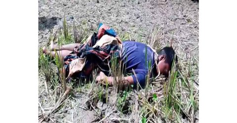 সুন্দরগঞ্জে বিল থেকে অটো চালকের লাশ উদ্ধার