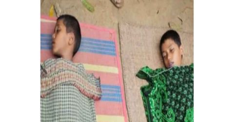 পানিতে ডুবে  দুই সহোদর ভাইবোনের মৃত্যু