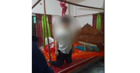 সিংগাইরে শিশু কন্যা’কে মোবাইলে গেম খেলতে দিয়ে মায়ের আত্মহত্যা